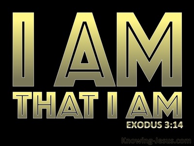 Exodus 3:14 God Said I AM That I AM (black)